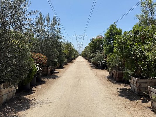 th IMG 1882 th IMG 1882