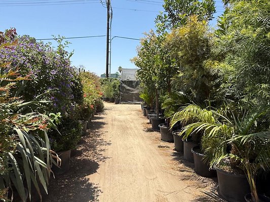 th IMG 1915 th IMG 1915