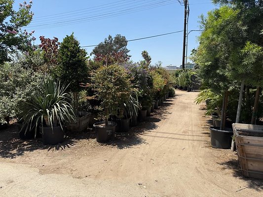 th IMG 1884 th IMG 1884