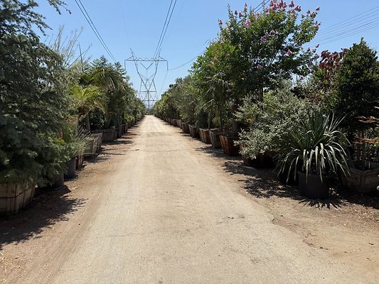 th IMG 1883 th IMG 1883