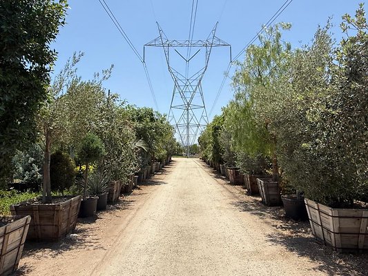 th IMG 1891 th IMG 1891