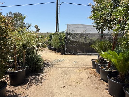 th IMG 1916 th IMG 1916