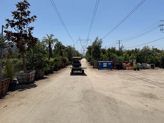 th IMG 1866 th IMG 1866