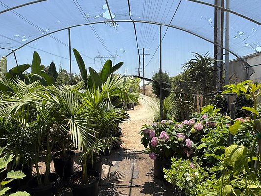 th IMG 1925 th IMG 1925