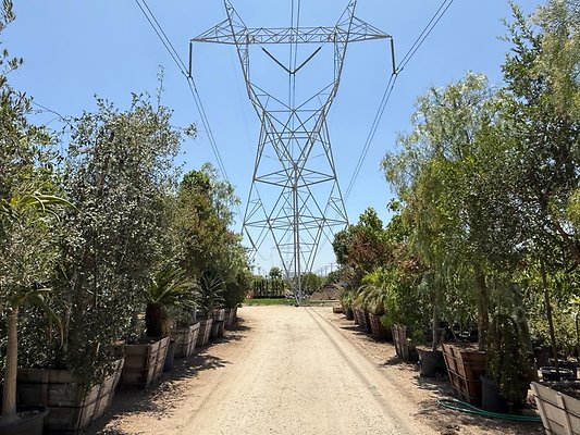 th IMG 1893 th IMG 1893