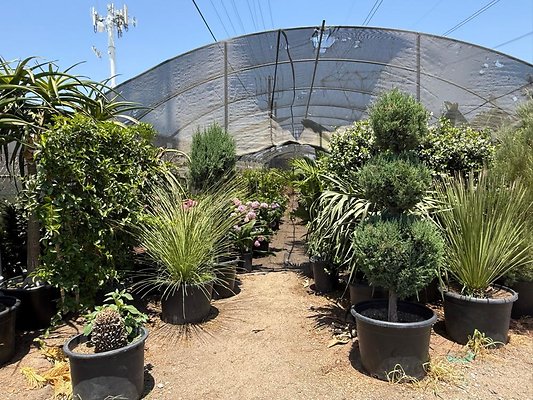 th IMG 1922 th IMG 1922