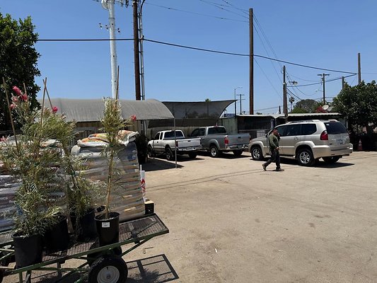 th IMG 1871 th IMG 1871