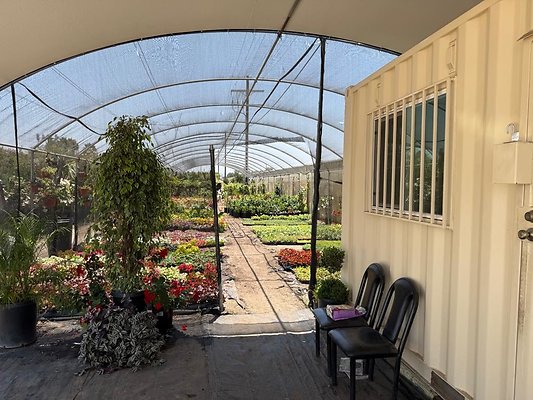 th IMG 1933 th IMG 1933