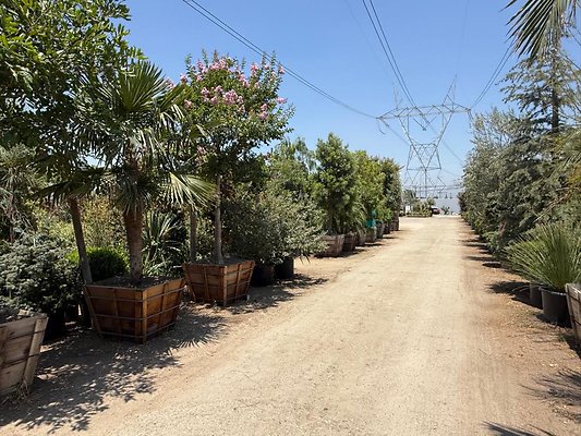 th IMG 1912 th IMG 1912