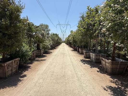 th IMG 1887 th IMG 1887