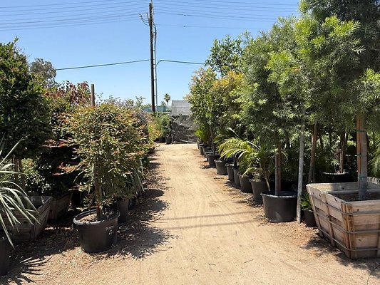 th IMG 1913 th IMG 1913