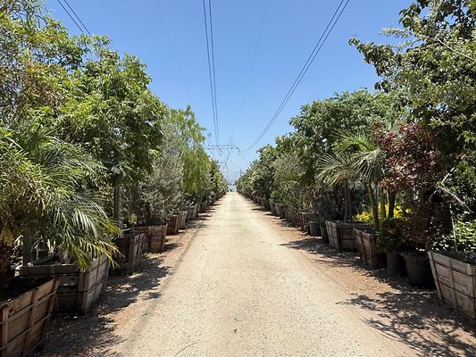 th IMG 1894 th IMG 1894