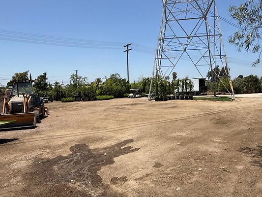 th IMG 1907 th IMG 1907