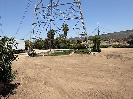 th IMG 1905 th IMG 1905