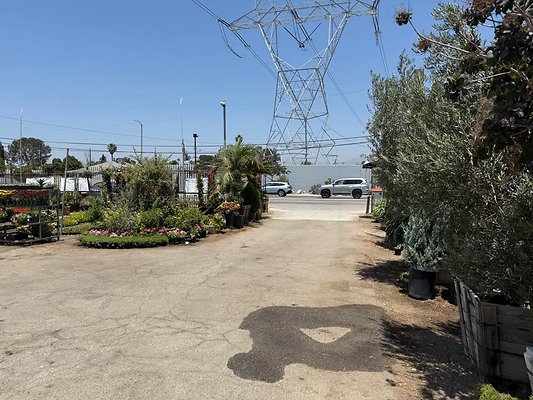 th IMG 1865 th IMG 1865