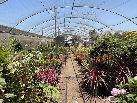 th IMG 1926 th IMG 1926