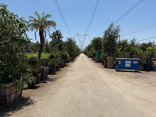 th IMG 1877 th IMG 1877