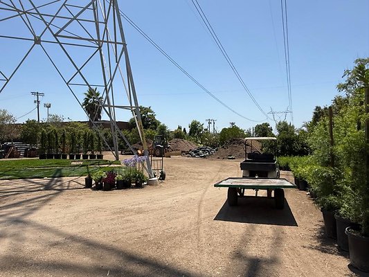 th IMG 1897 th IMG 1897