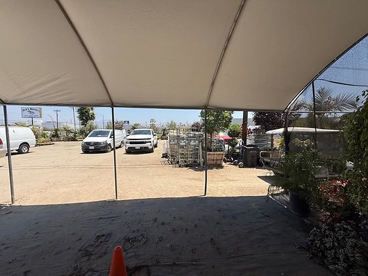 th IMG 1935 th IMG 1935