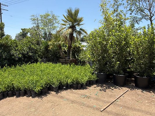 th IMG 1900 th IMG 1900