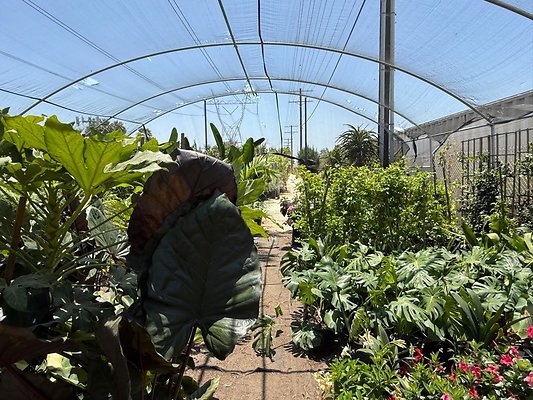 th IMG 1927 th IMG 1927