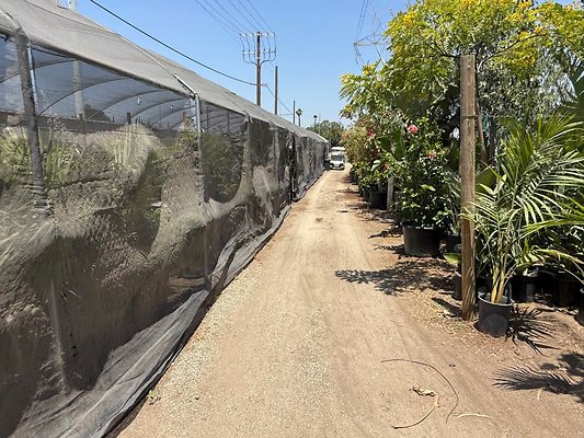 th IMG 1920 th IMG 1920