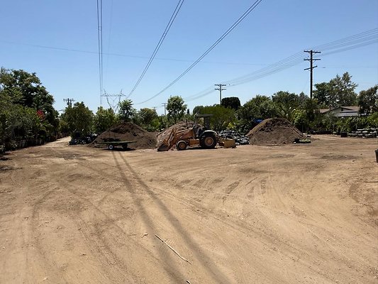 th IMG 1911 th IMG 1911