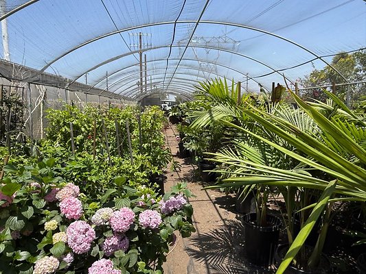 th IMG 1923 th IMG 1923