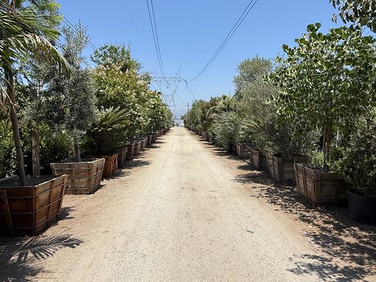 th IMG 1890 th IMG 1890