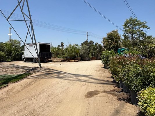 th IMG 1910 th IMG 1910