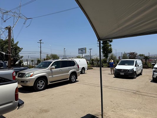 th IMG 1934 th IMG 1934