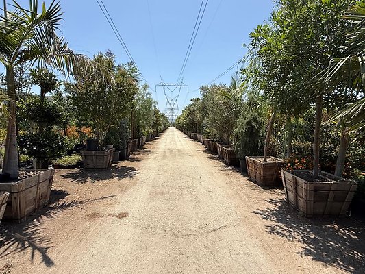 th IMG 1886 th IMG 1886