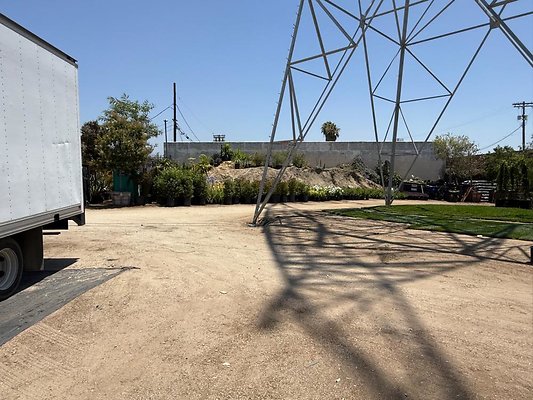 th IMG 1898 th IMG 1898