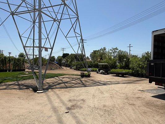 th IMG 1896 th IMG 1896