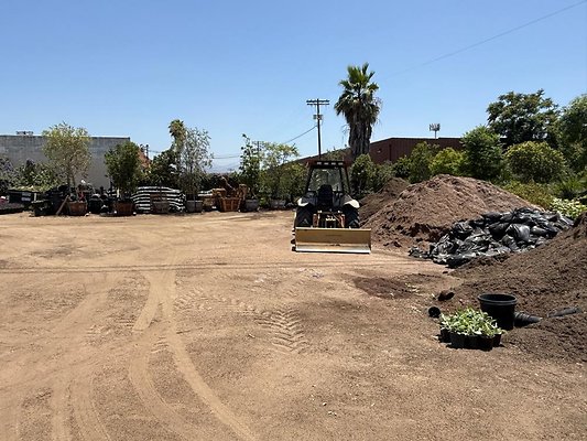 th IMG 1902 th IMG 1902