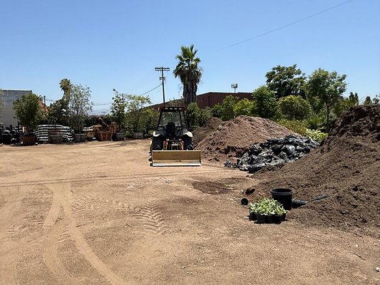 th IMG 1904 th IMG 1904