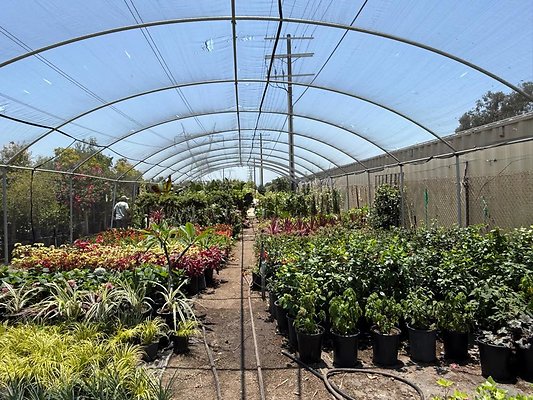 th IMG 1931 th IMG 1931