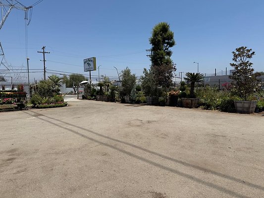 th IMG 1872 th IMG 1872