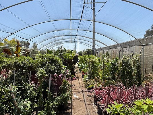 th IMG 1929 th IMG 1929