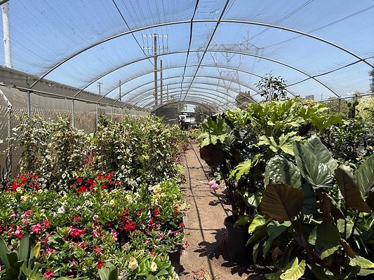 th IMG 1924 th IMG 1924