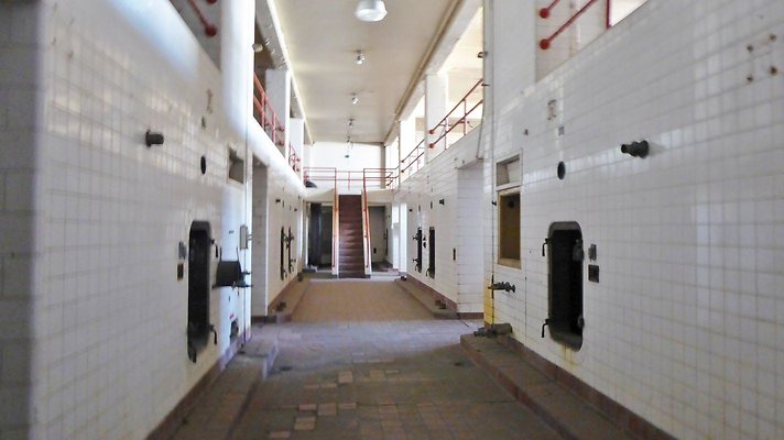 RTR-8745-109 RTR-8745-109