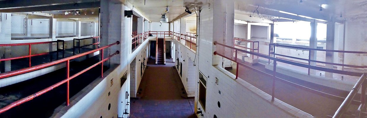 RTR-8745-116 RTR-8745-116