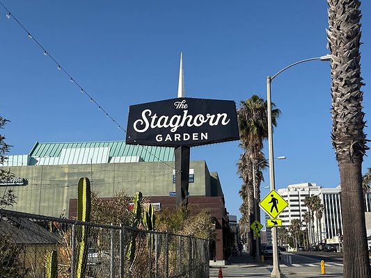 STAGHORN GARDEN