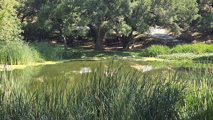 Screenshot 20250626 122908 Gallery