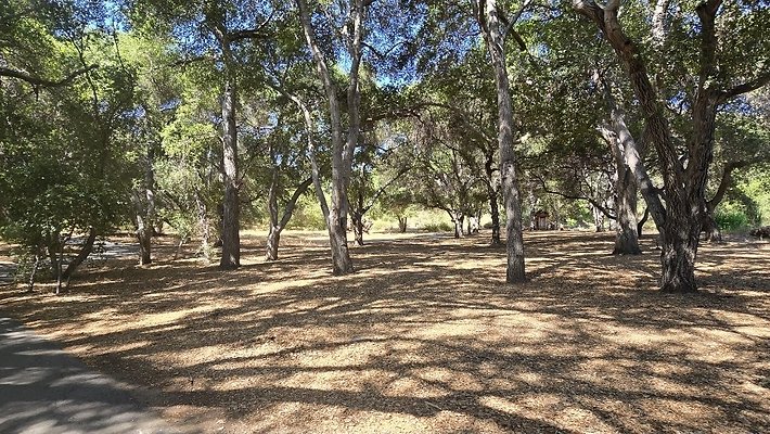 Screenshot 20250626 122957 Gallery