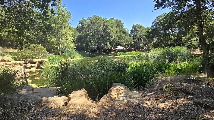 Screenshot 20250626 122930 Gallery