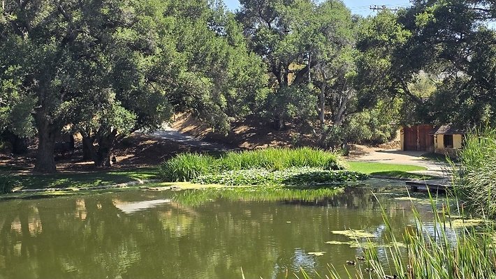 Screenshot 20250626 122840 Gallery