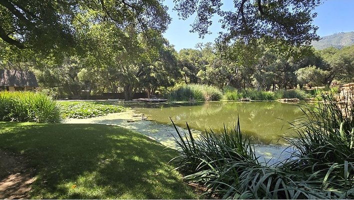 Screenshot 20250626 123119 Gallery