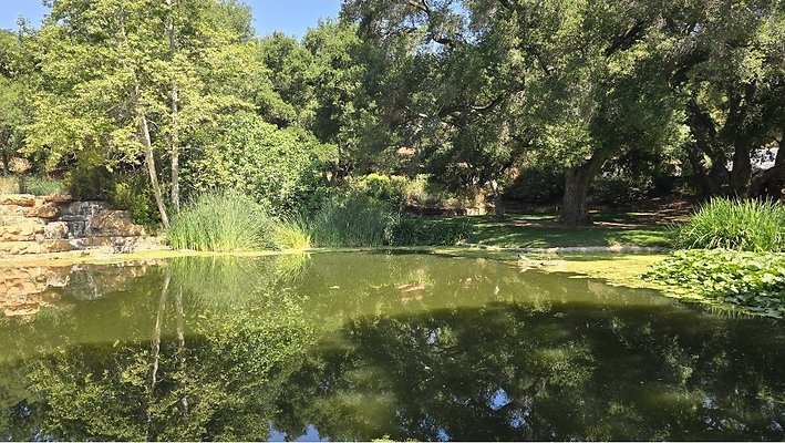 Screenshot 20250626 123036 Gallery