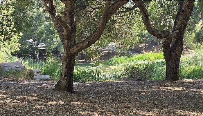 Arklin Ranch